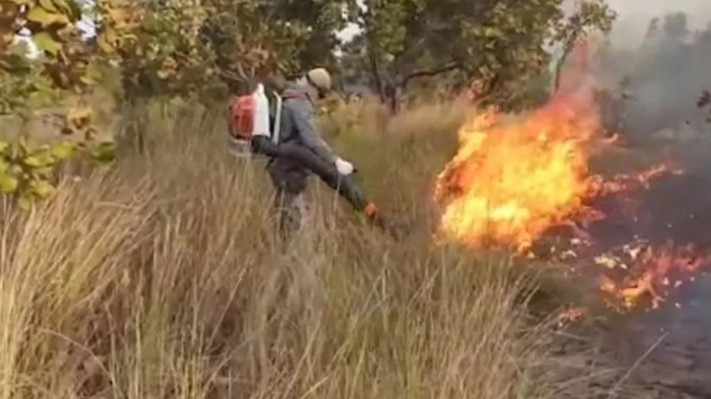 Alerta para focos de incêndio: calor e seca aumentam o risco no País. Saiba onde