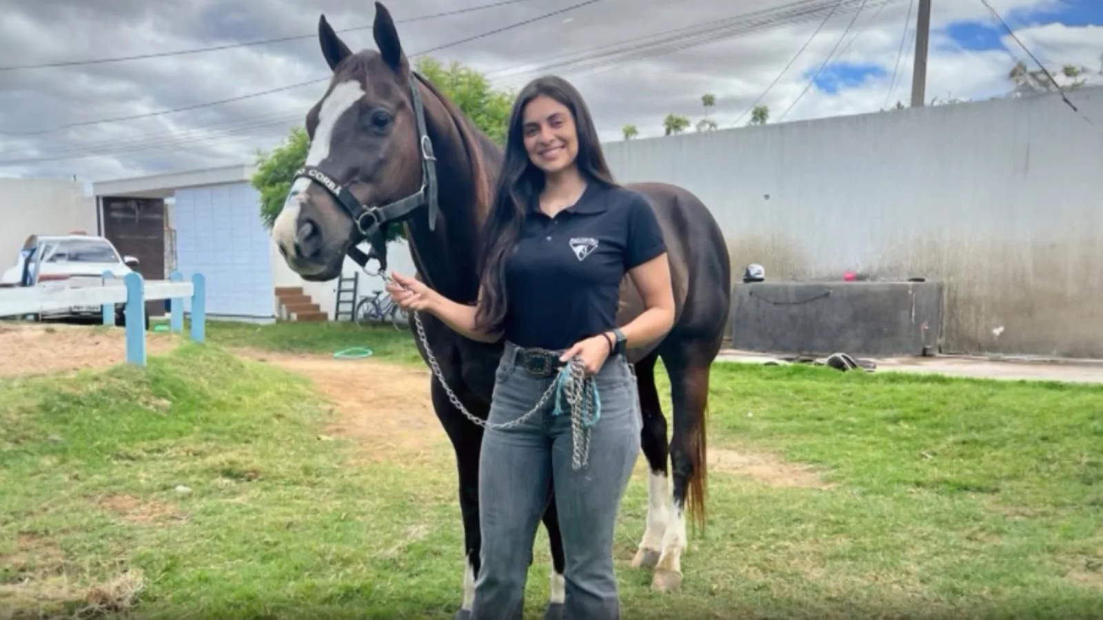 Mercado de cavalos: veterinária mostra como doma o bilionário mundo equestre no Brasil