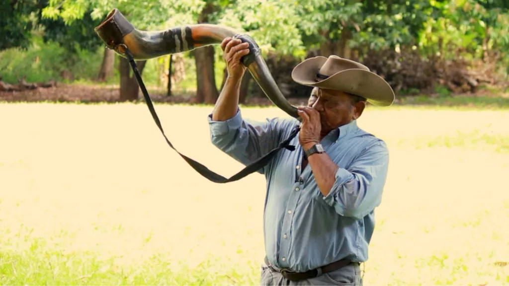 Histórias do Pantanal: a vida e a labuta de boiadeiro raiz no coração de Nhecolândia