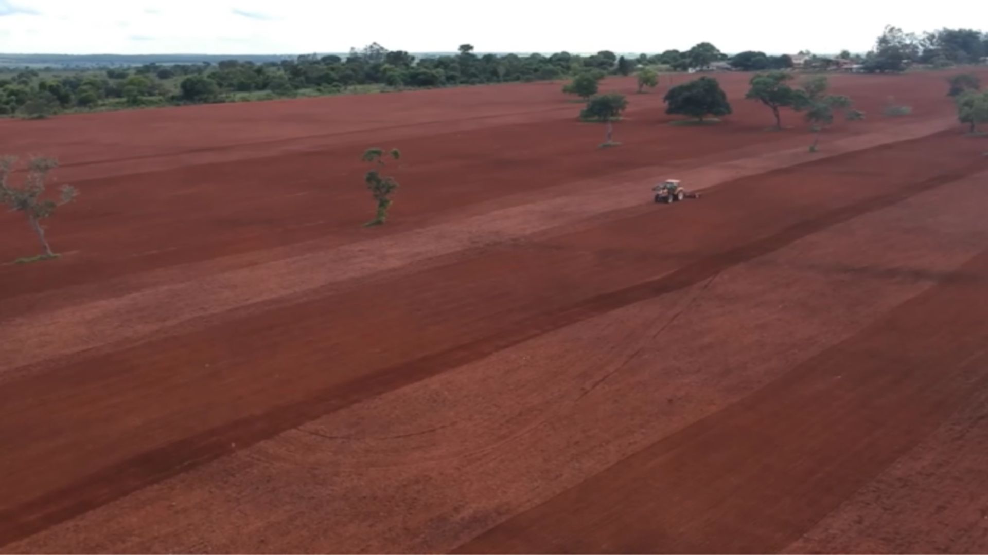 Solo produtivo: especialista revela os segredos para máxima eficiência no campo