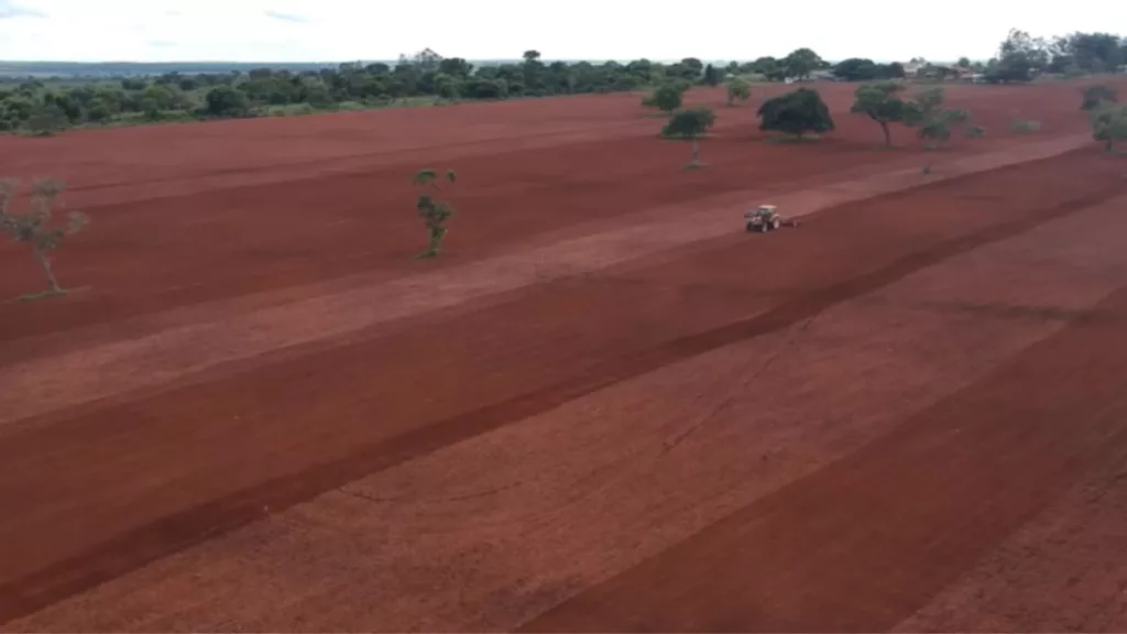 Solo produtivo: especialista revela os segredos para máxima eficiência no campo