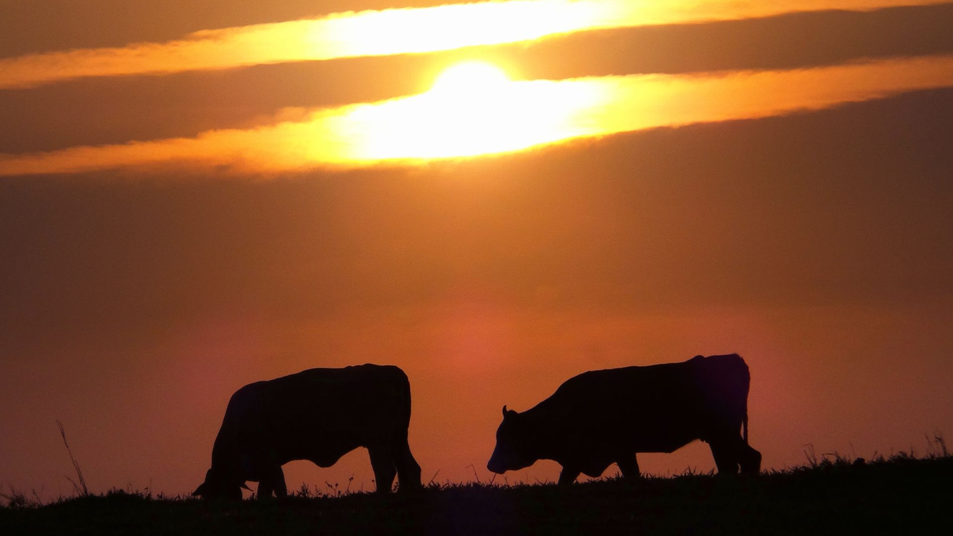 Calor intenso persiste, mas chuvas isoladas dão alívio ao Sudeste e Centro-Oeste