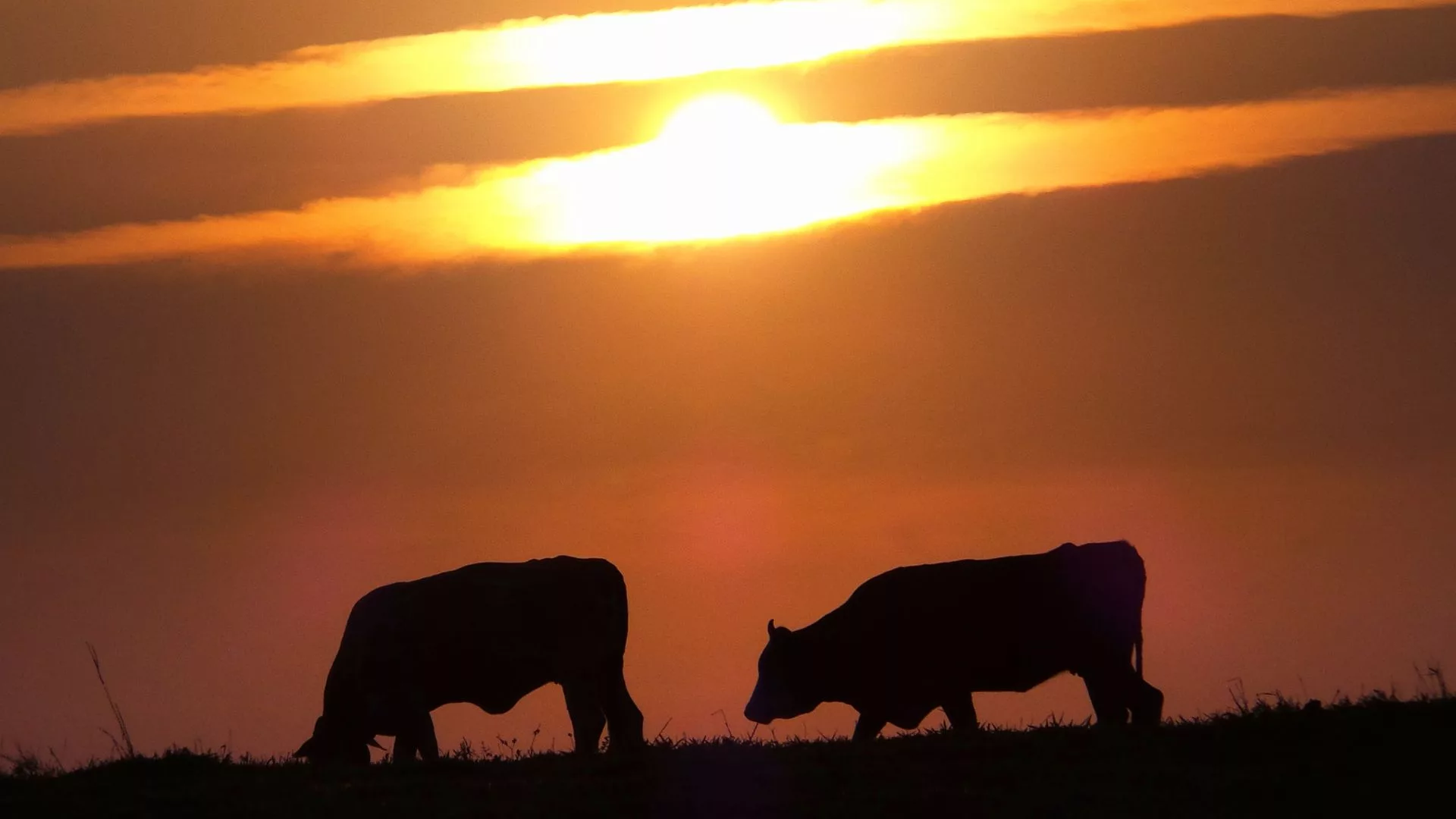 Calor intenso persiste, mas chuvas isoladas dão alívio ao Sudeste e Centro-Oeste