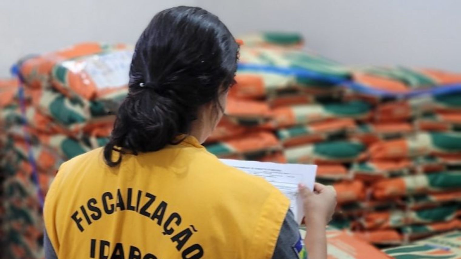 Idaron intensifica fiscalização contra sementes de pastagens piratas e falsificadas