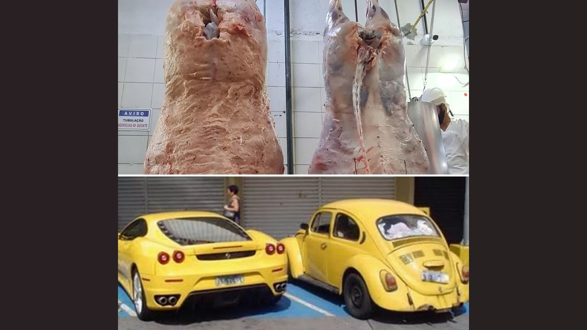 Carne “Ferrari” ou “Fusca”? Saiba como comparação ilustra a evolução da pecuária brasileira