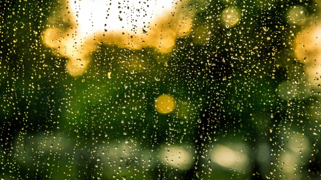 Pecuaristas atentos: previsão indica 200 mm de chuva. Saiba onde e quando