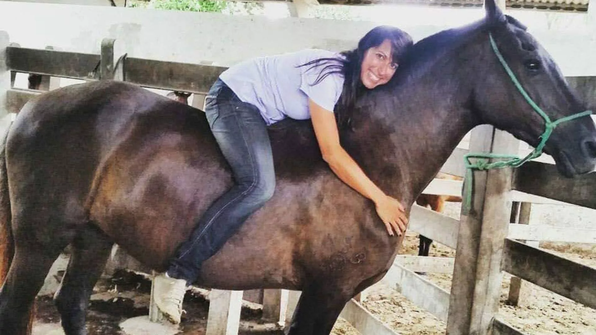 Cuidados com a tropa da fazenda! Veterinária destaca o tratamento de ferimentos em cavalos