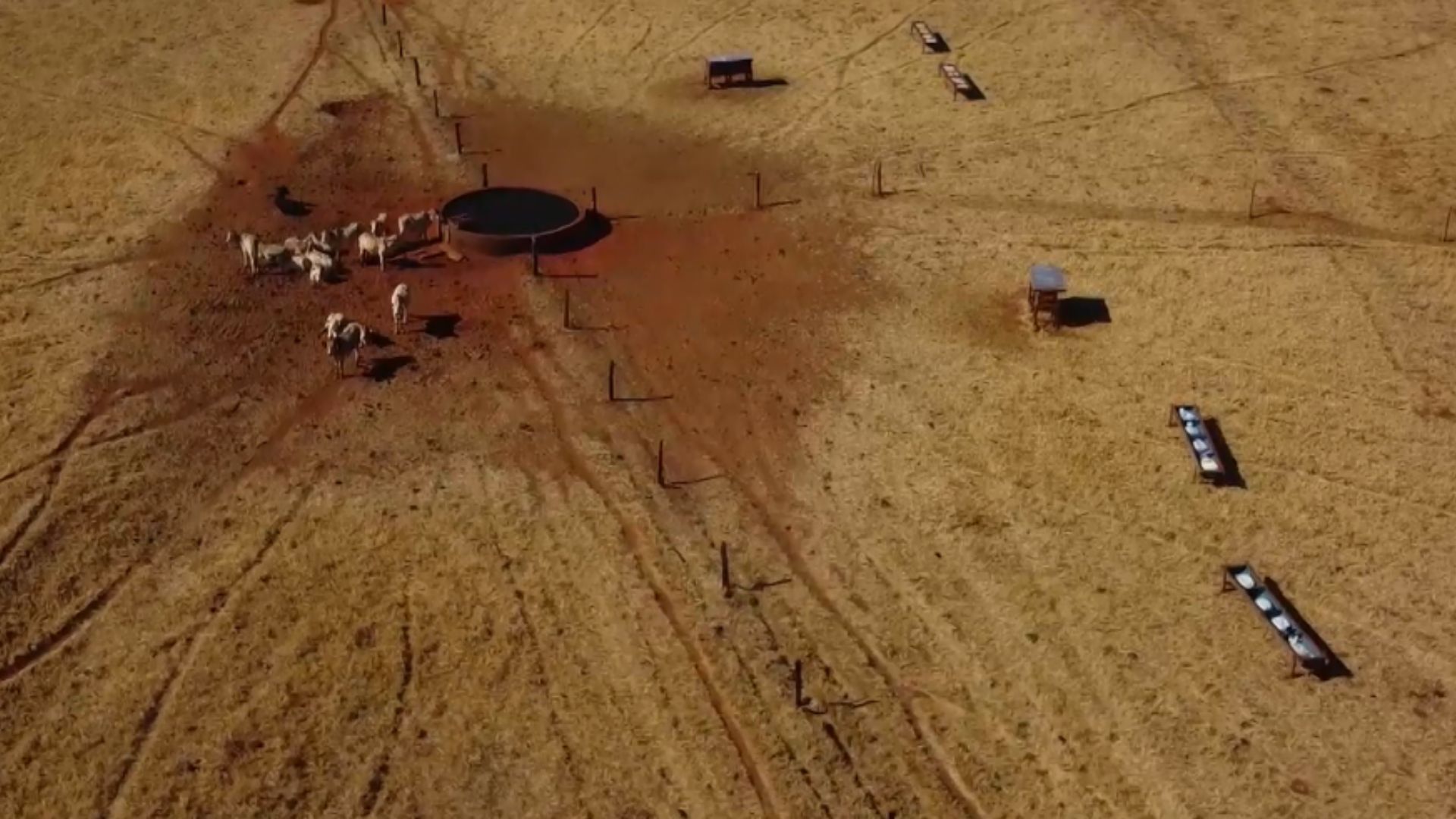 Manejo do pasto na volta das águas: as tecnologias de ponta para melhorar produção na fazenda