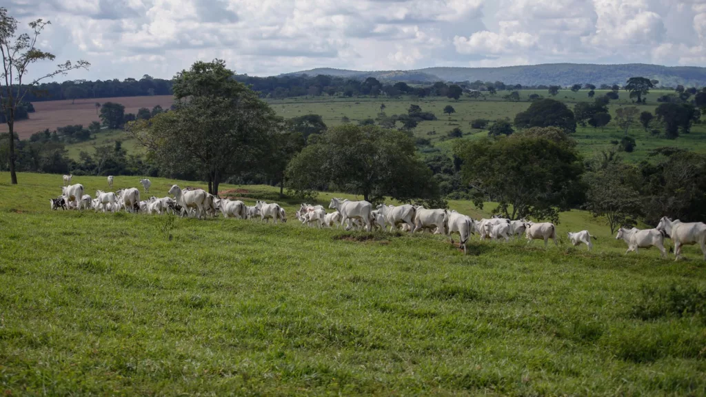 Como uma iniciativa do Senar está mudando a realidade de 6,4 mil fazendas do Cerrado