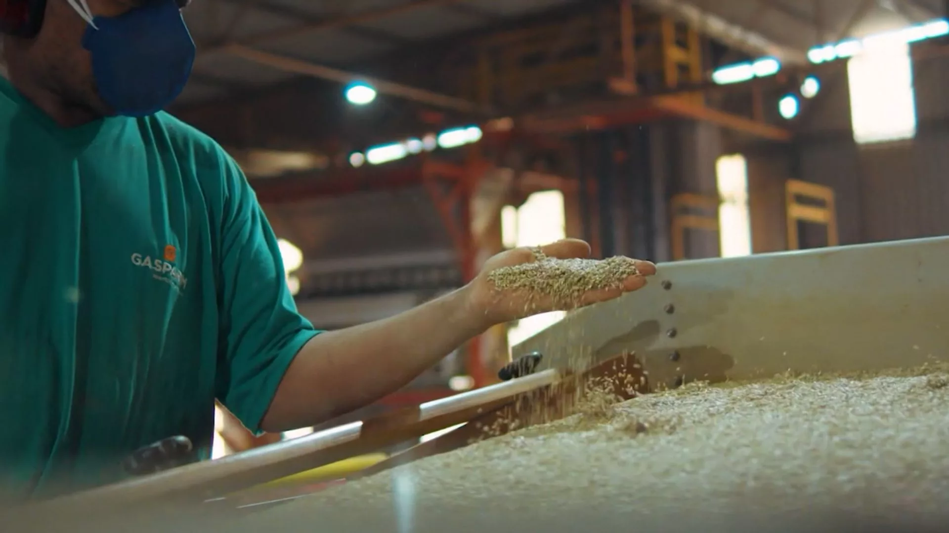 Família Gasparim: meio século de inovação no agro com sementes, nutrição e carne premium