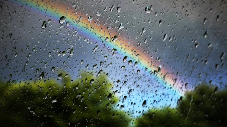 Centro-Oeste terá mais de 300 mm de chuva favorecendo safra e pastagens. Saiba mais