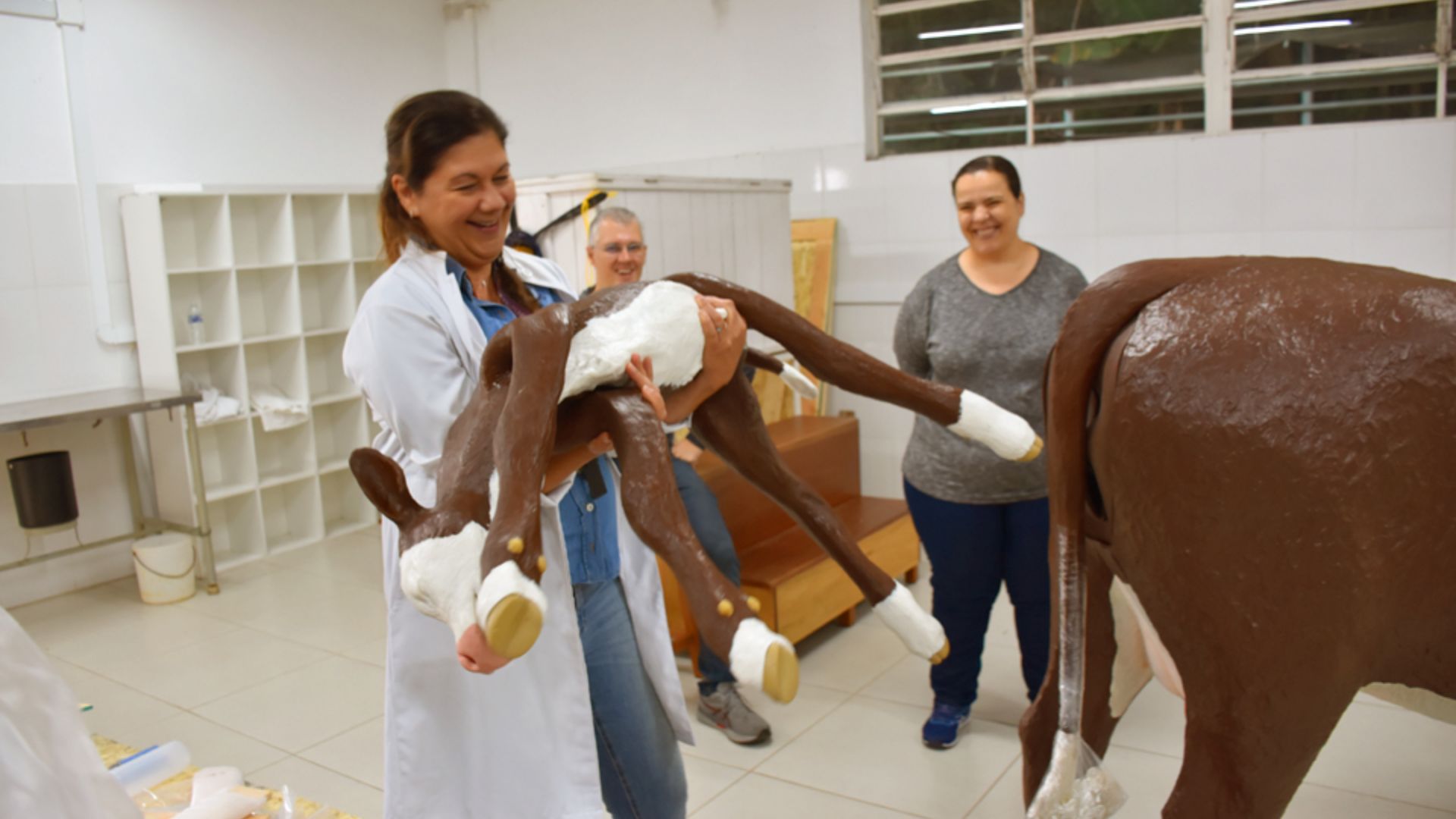 Simulador de parto bovino possibilita treinamento realista para alunos de Veterinária da USP