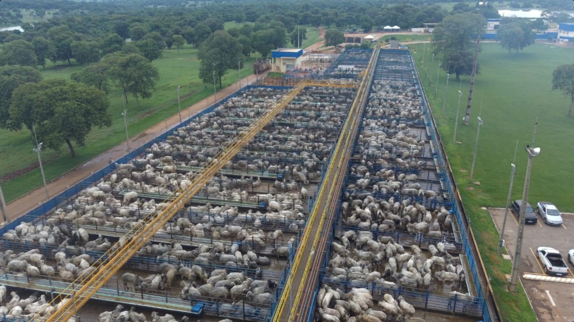 Mais de 120 vagas de trabalho: agroindústria impulsiona carreiras em Mozarlândia (GO)