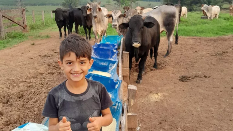 Rondônia: boiada top ultrapassa 20@ com ração, pasto irrigado e rotacionado em 3 ha