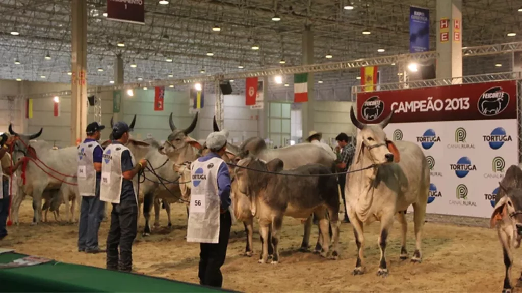 Feicorte 2024: Guilherme Piai, secretário de Agricultura de SP, fala sobre o retorno do evento