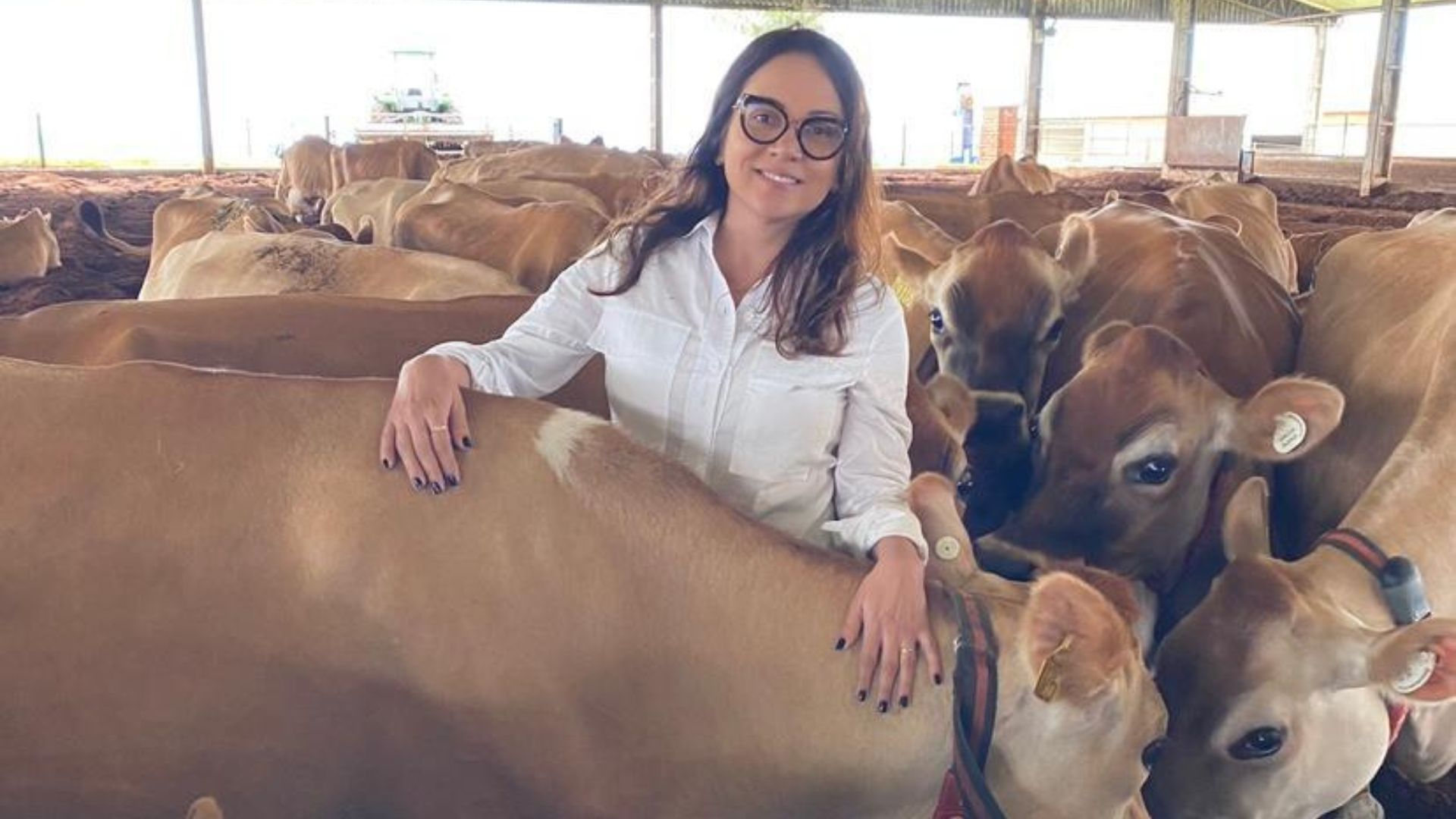 “Fair Food”: veterinária explica este movimento que une bem-estar animal e práticas éticas