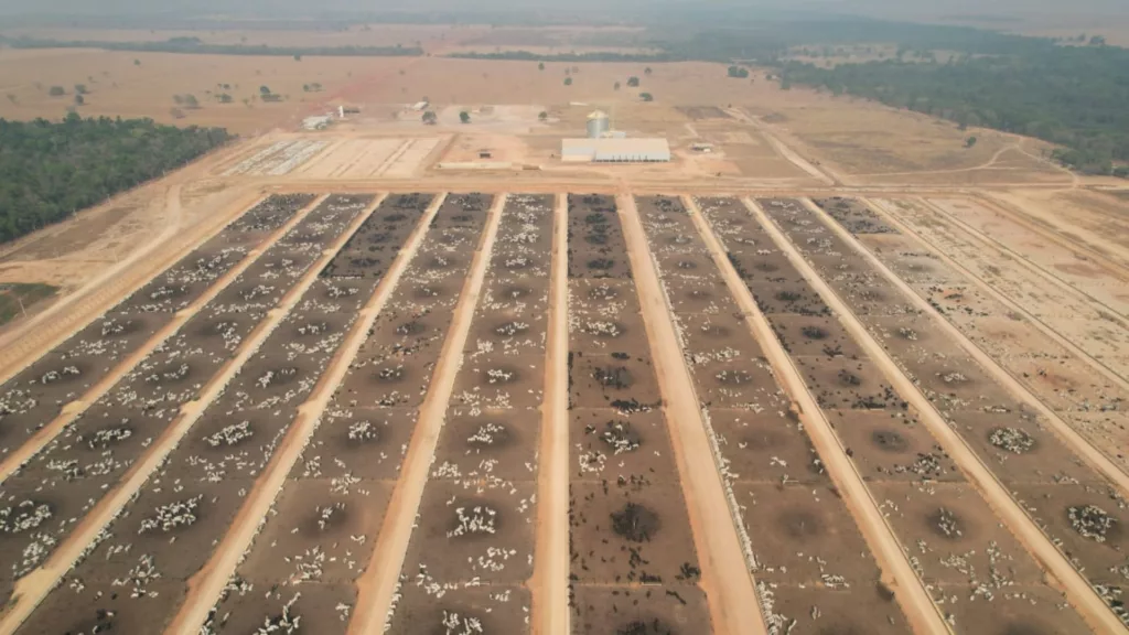 Unidade de confinamento da JBS inaugurada em Barra do Garças (MT). Foto: Divulgação