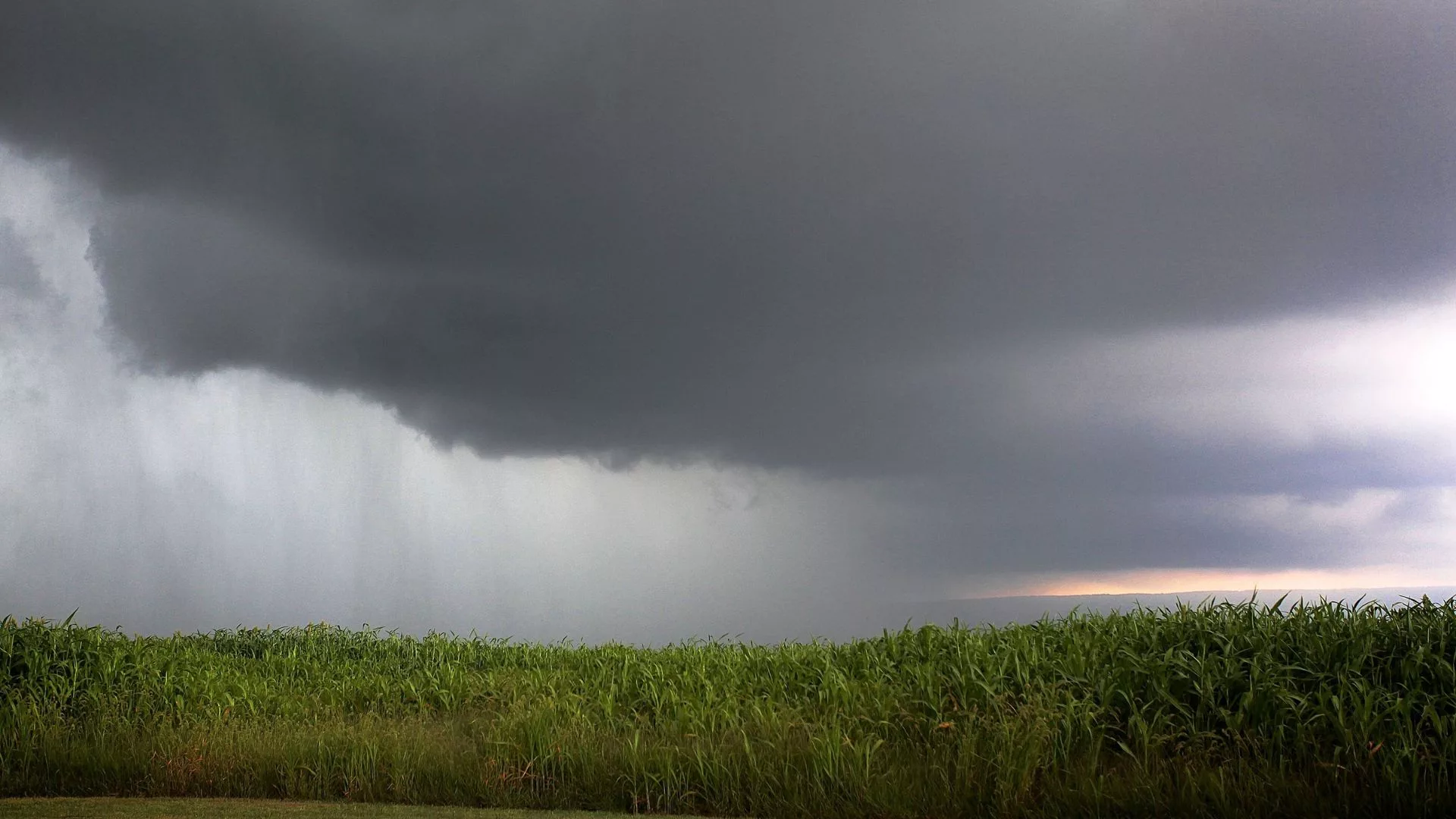 Frente fria traz temporais em áreas de pasto: veja como a chuva beneficia os pecuaristas