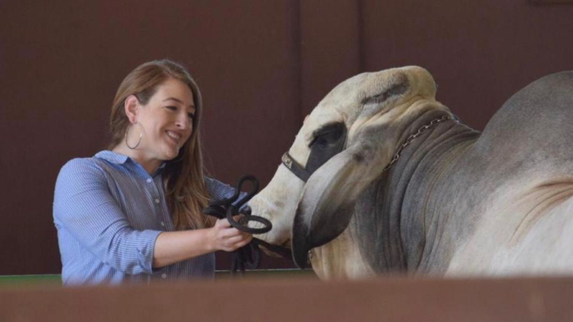 Influencer feminina do agro explica o bê-á-bá de como aditivos turbinam a dieta bovina
