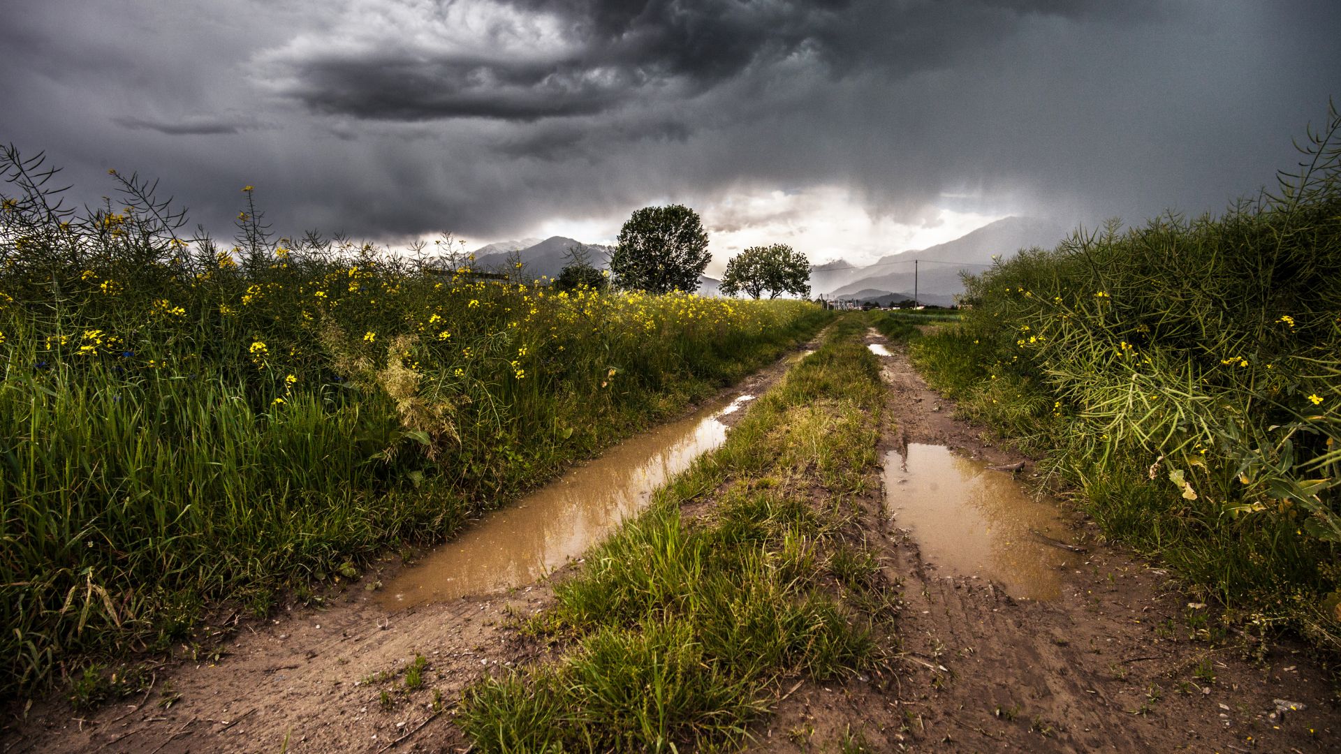 Chuva retorna ao interior de Santa Catarina com risco de temporais e granizo. Saiba os detalhes