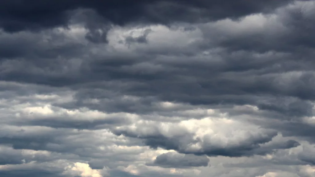 Chuva traz alívio e favorece pastos e lavouras: previsão aponta mais de 250 mm