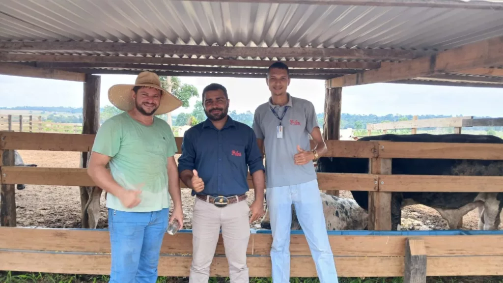 Confinamento em Rondônia: cuidado especial na água e na nutrição impulsiona resultados