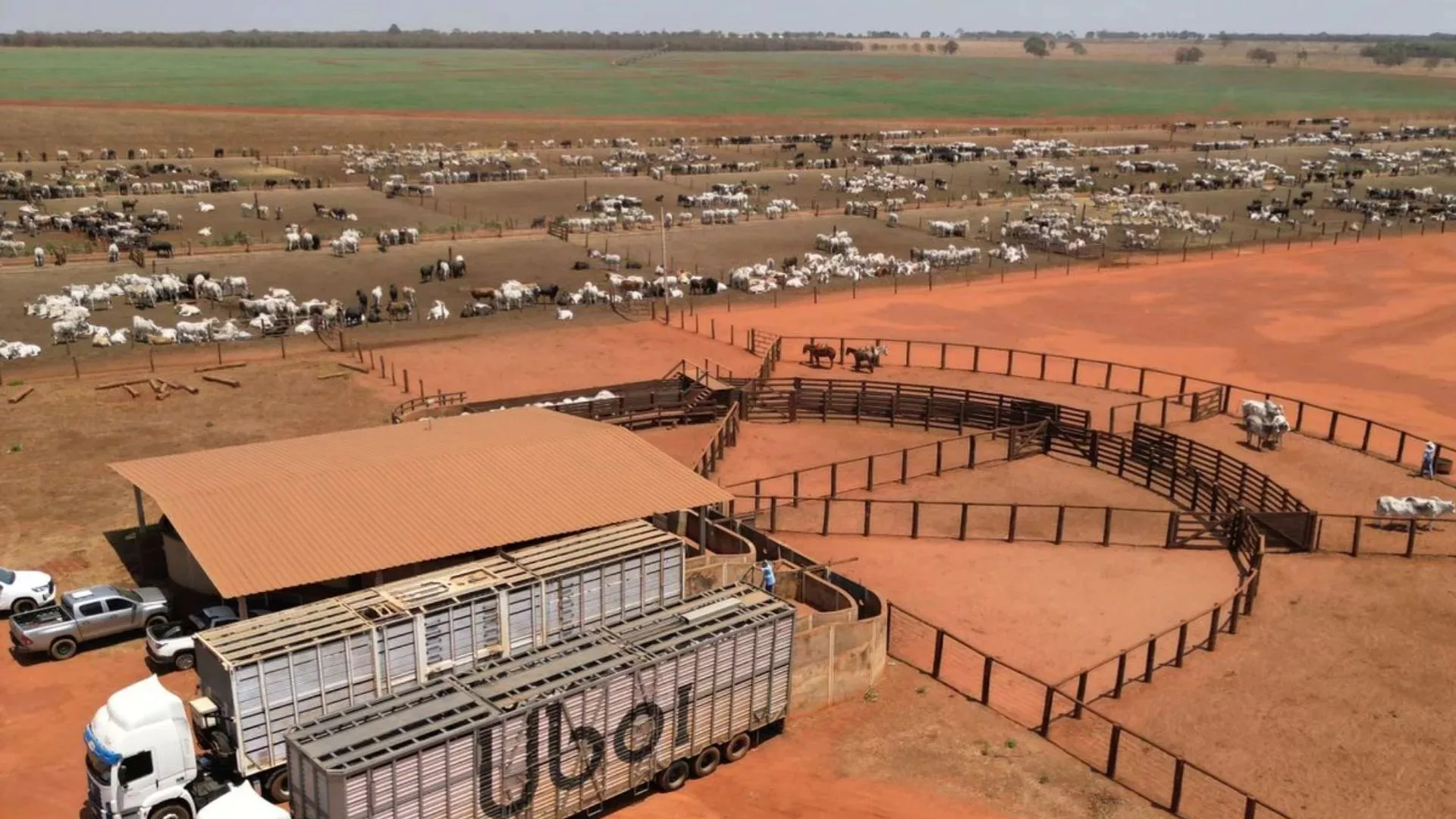 Inteligência artificial chega ao transporte boiadeiro protegendo pessoas e animais