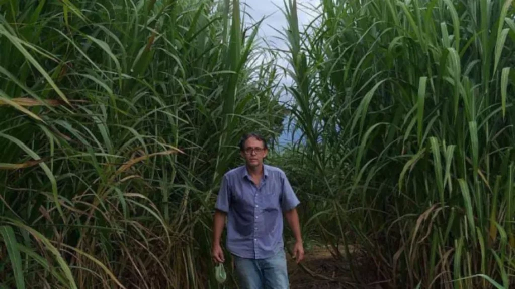 Wagner Palhares, engenheiro agrícola da Gerência de Agroenergia e Floresta da Seagro. Foto: Seagro/Governo do Tocantins