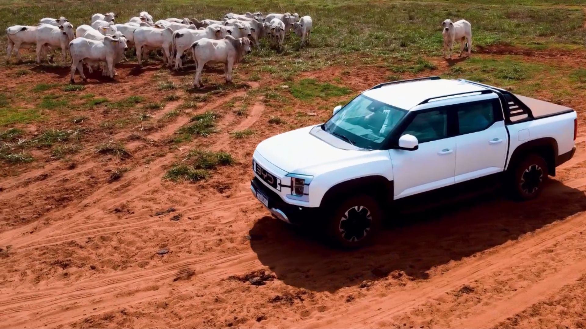 Transformações no campo: JB Agropecuária une tecnologia de ponta e inovação no agro