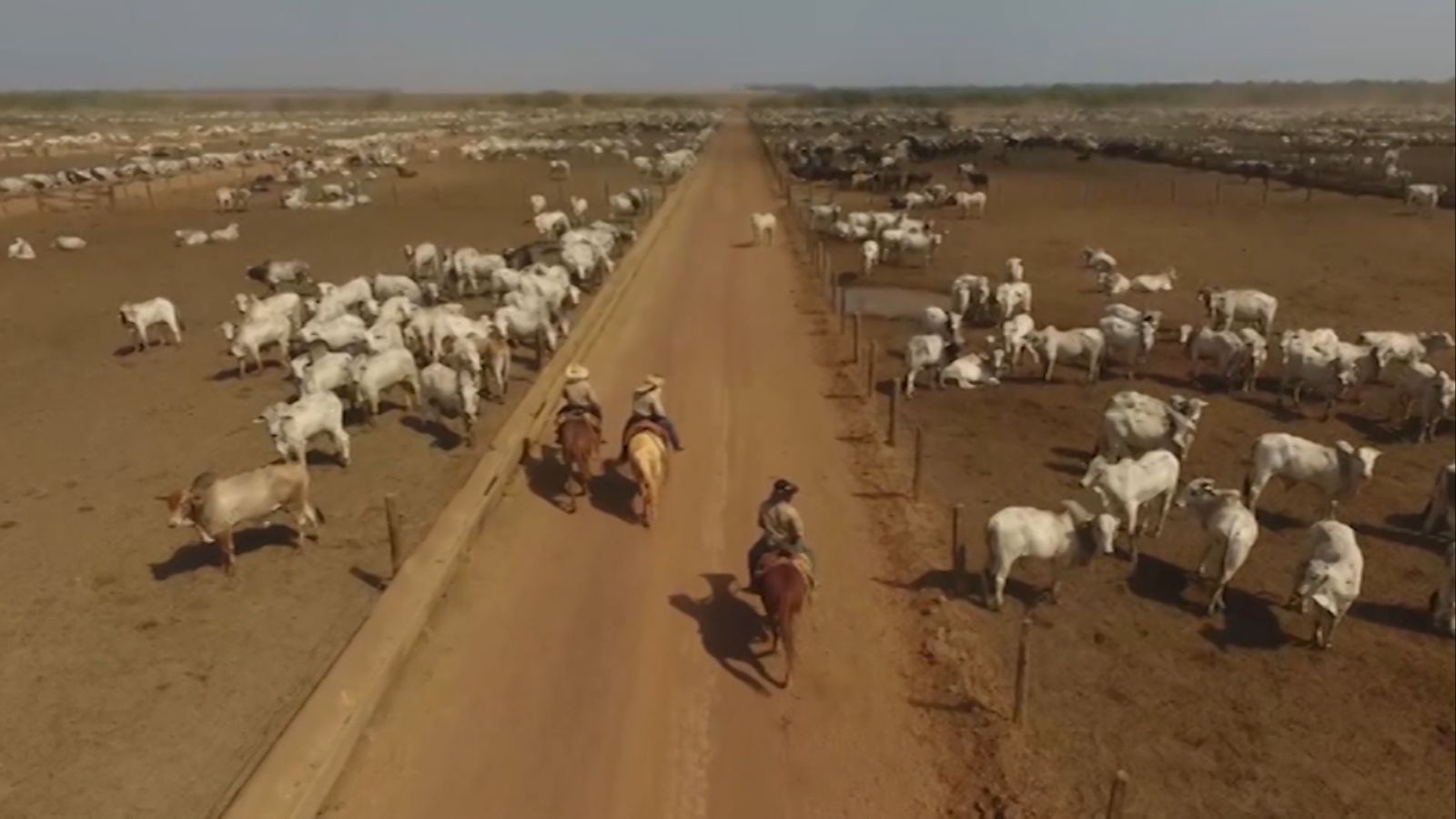 Gestão descomplicada: estas três metas são essenciais para o sucesso da fazenda!