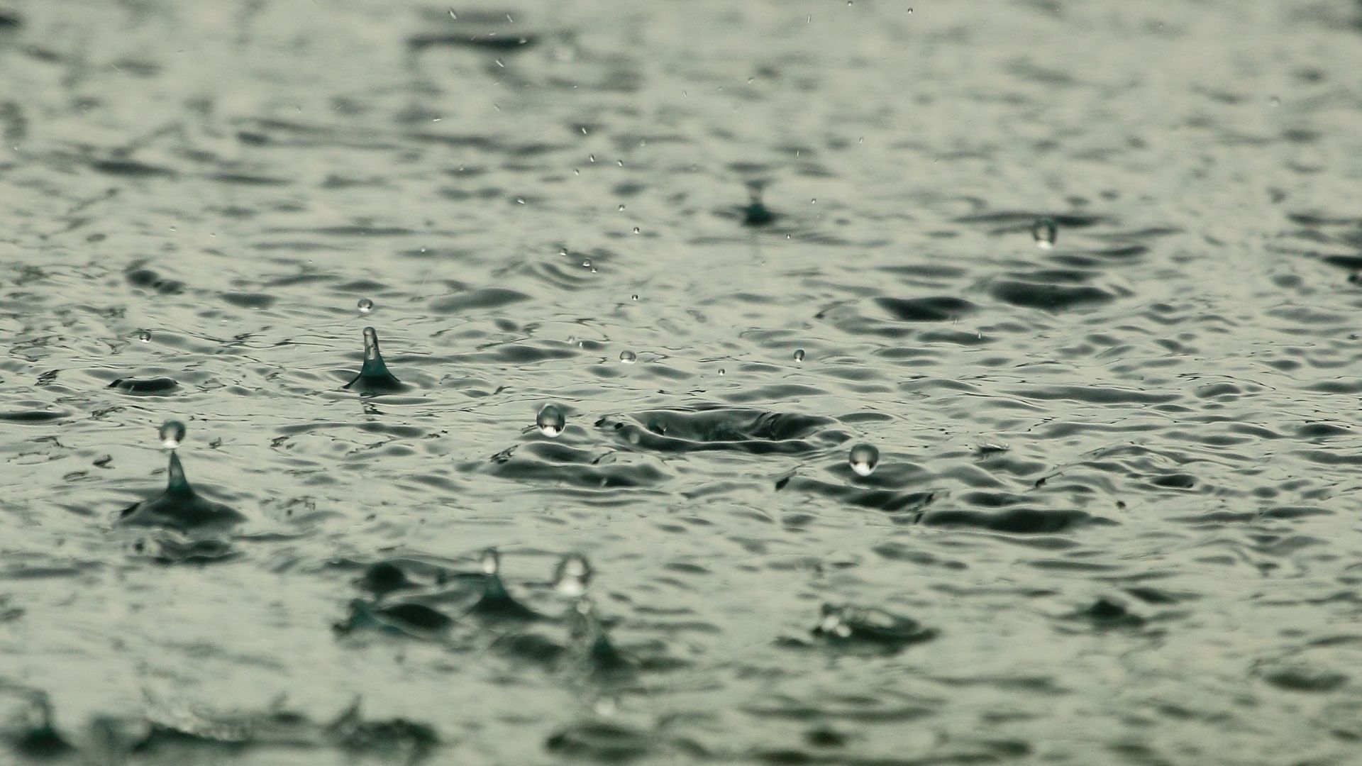 Previsão é muita chuva! Volume acumulado pode chegar a 334 mm. Saiba onde