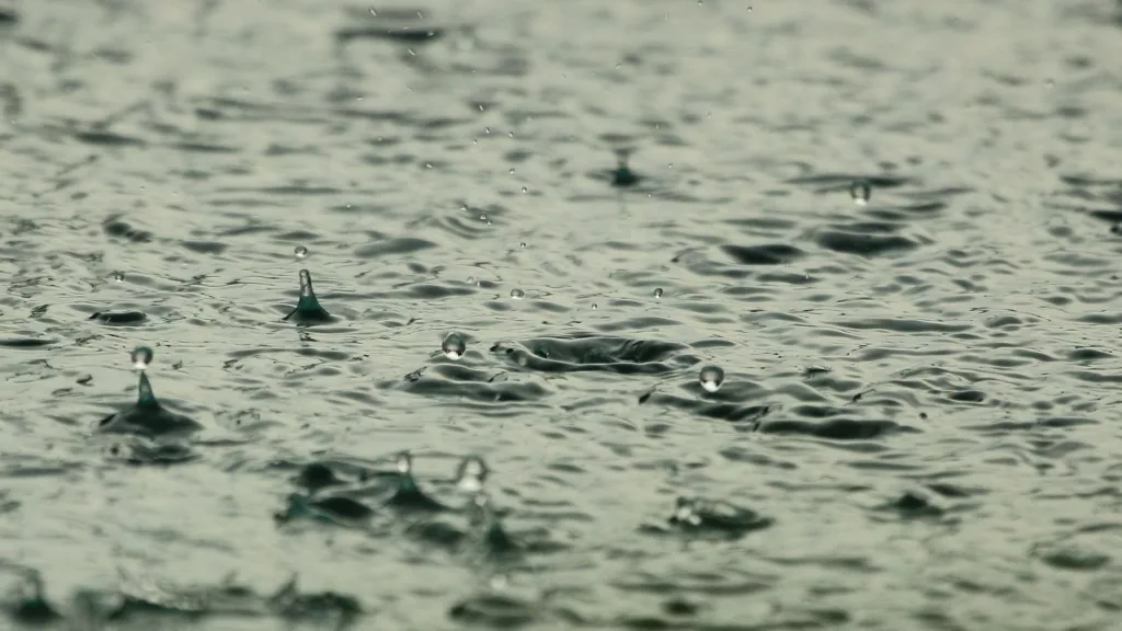 Previsão é muita chuva! Volume acumulado pode chegar a 334 mm. Saiba onde