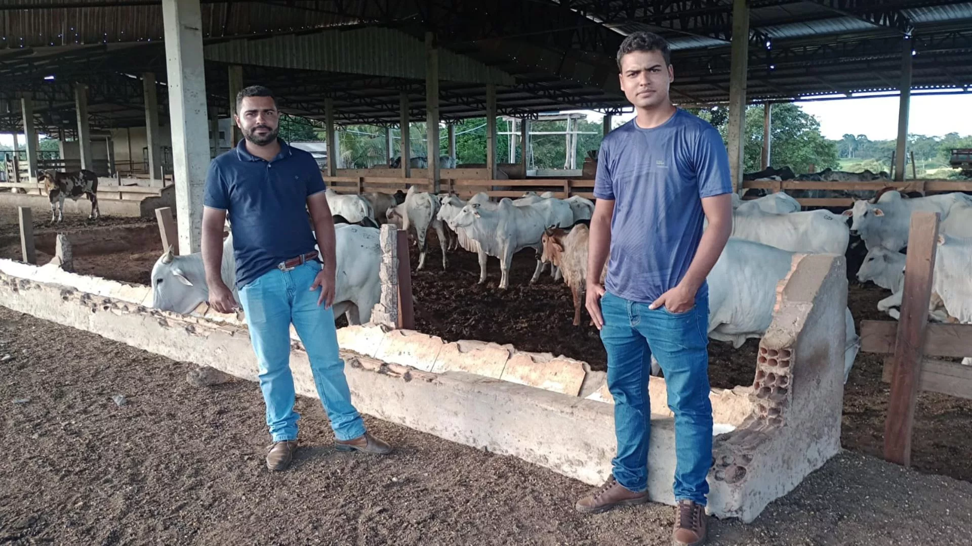 Pecuarista em Rondônia: confinamento com grão inteiro registra ganho de 5@ em 70 dias