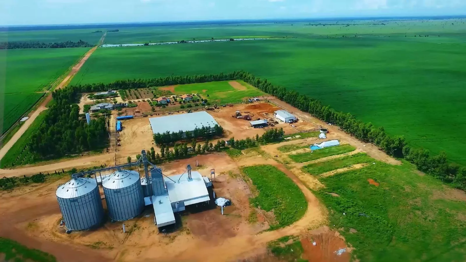 Valor bruto da produção agropecuária em 2025 deve crescer 11,5%, a R$ 1,42 tri, diz Mapa