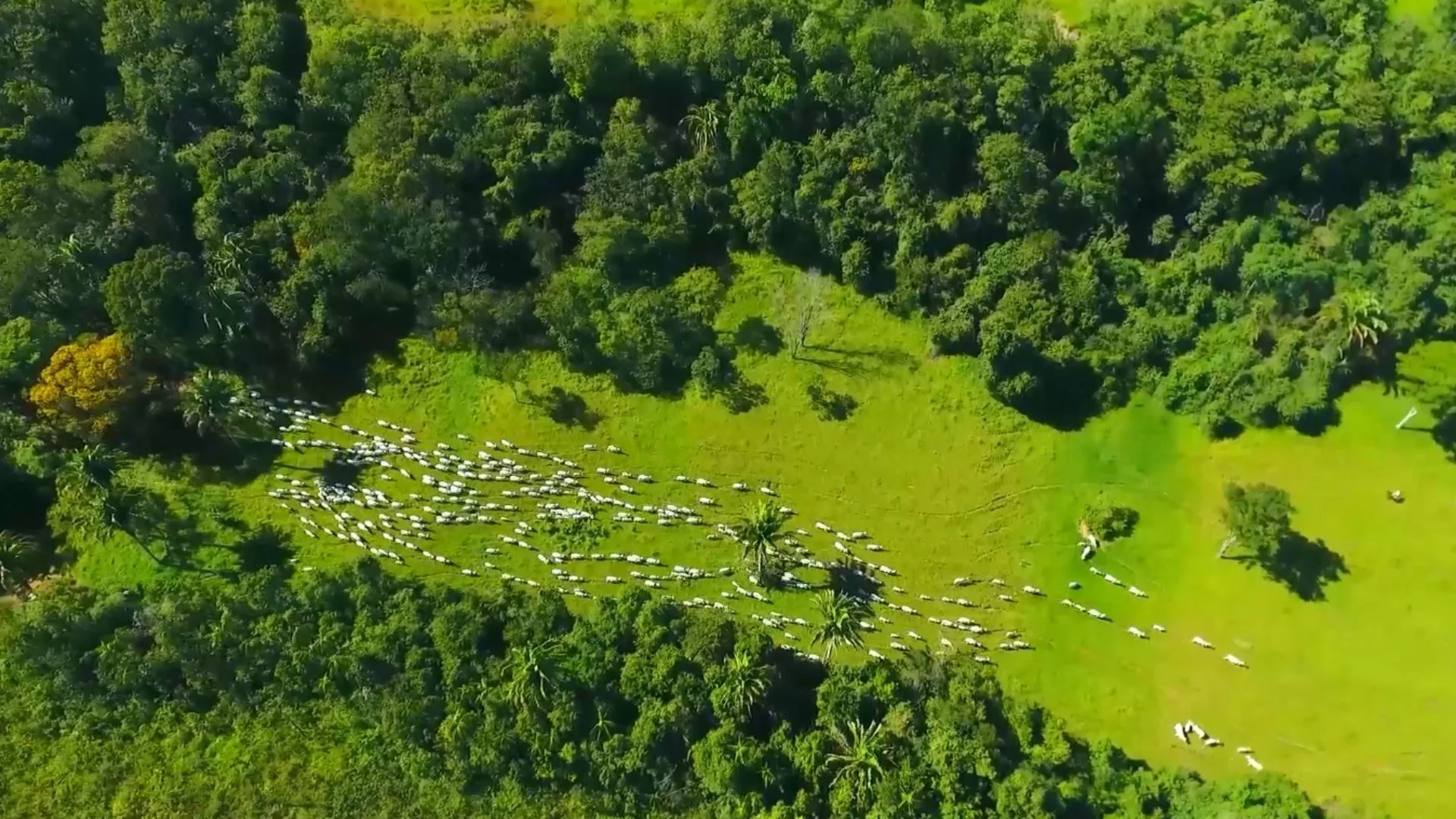 Regularização ambiental: nova norma garante alívio na compensação de áreas de reserva legal