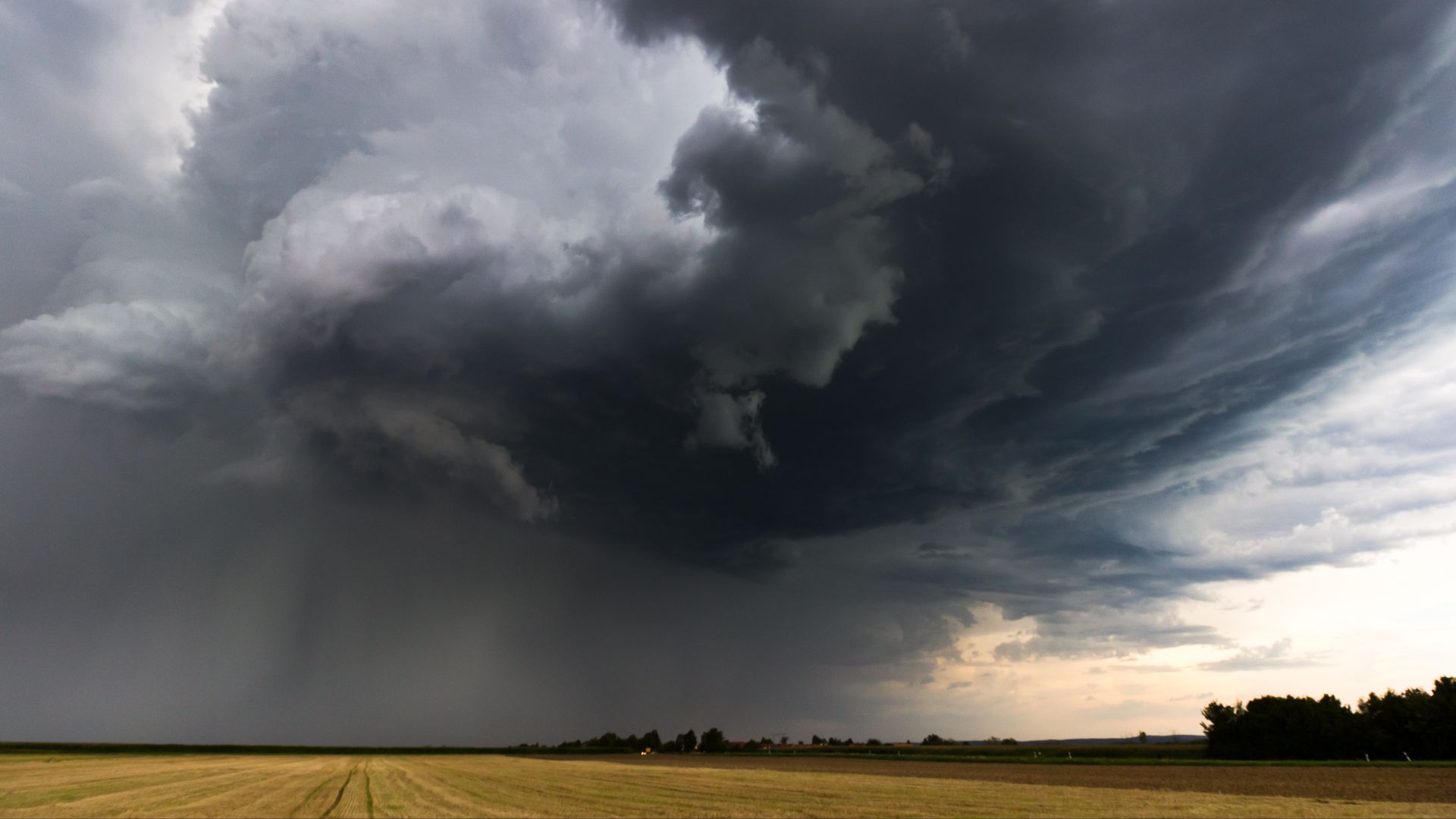 Chuva generosa a caminho para área de pecuária no Centro-Sul do Brasil. Saiba os detalhes