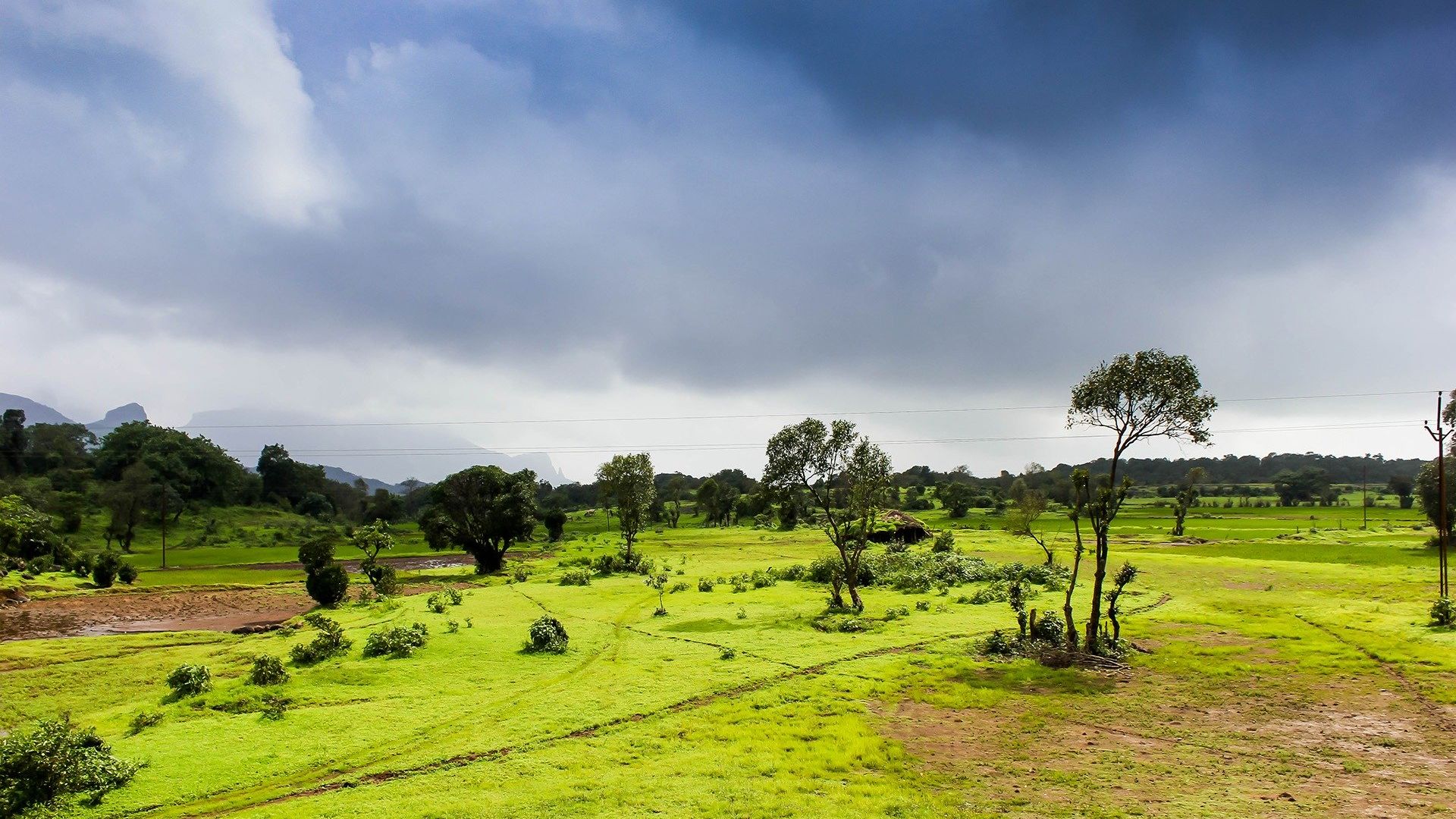 Chuva acumulada em fevereiro promete alívio para as pastagens com mais de 300 mm