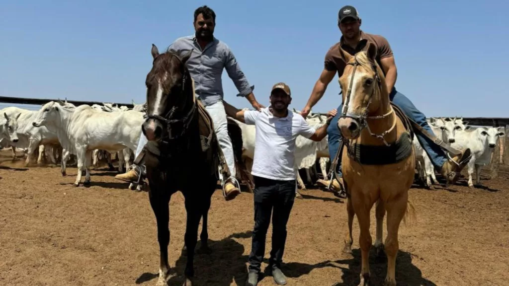 Novilhada F1 e tricross Angus, Senepol e Nelore dá show de acabamento na Bahia