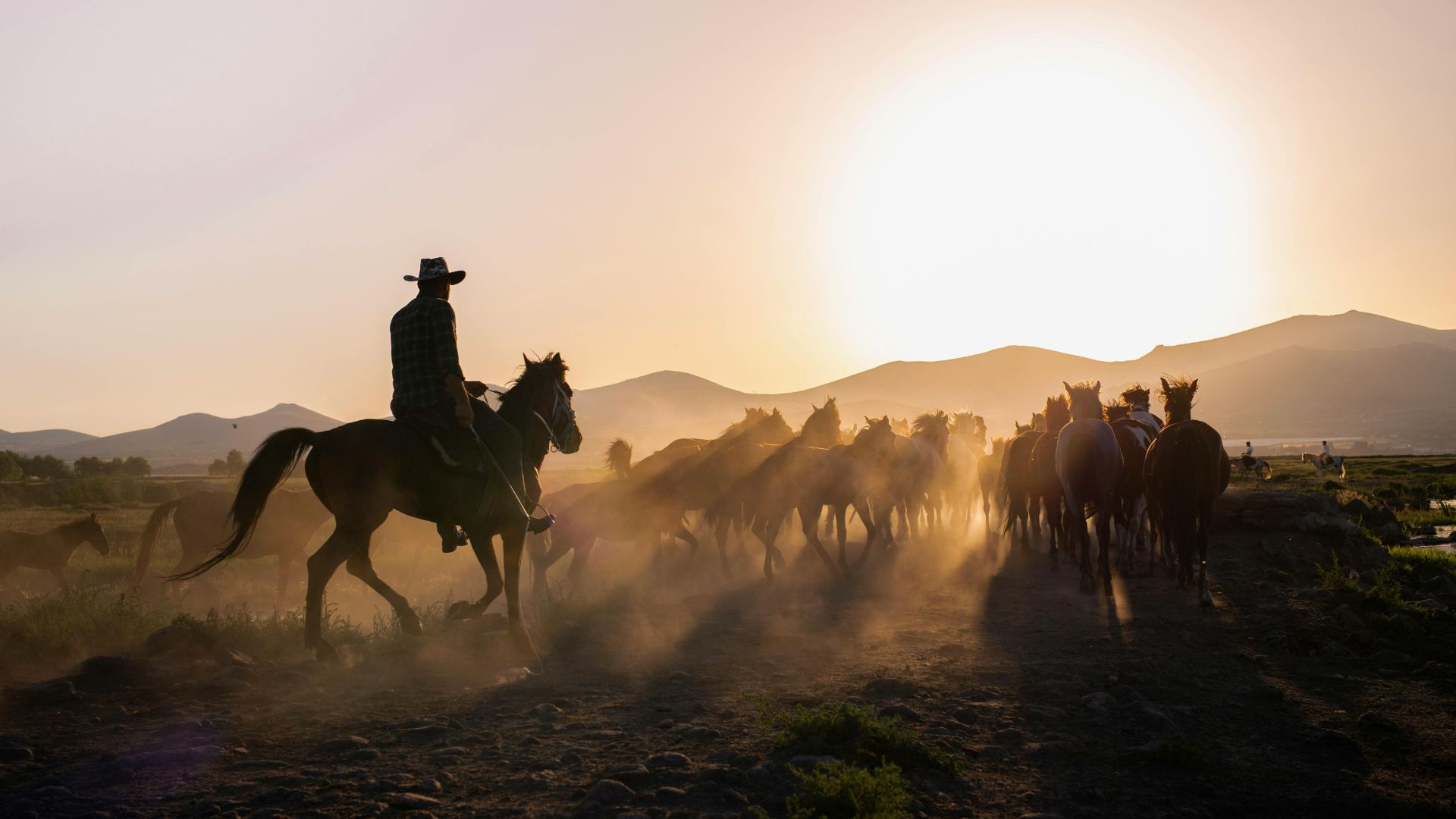 Nutrição e fertilidade são chave para o bom desempenho dos cavalos no campo