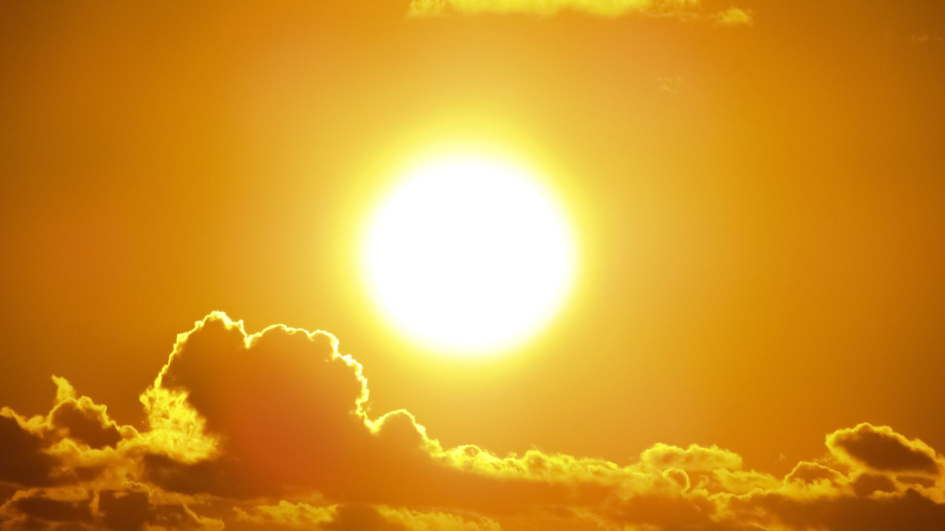 Atenção pecuarista: temperatura volta a subir e risco de estresse térmico aumenta nos confinamentos!