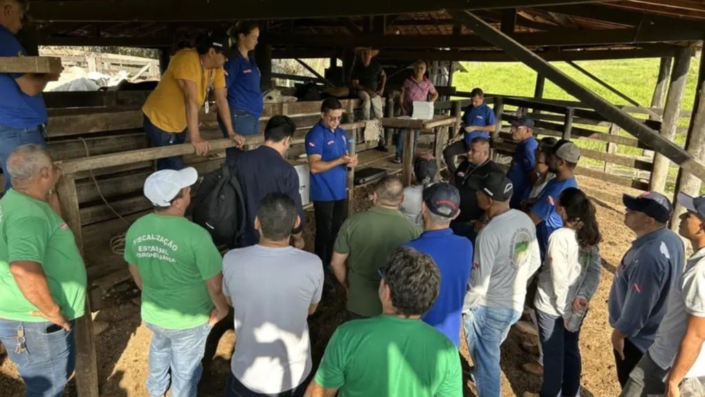 Pará inicia rastreabilidade individual do rebanho bovino