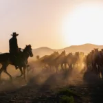 Contaminação inédita em ração matou 245 cavalos em 4 Estados, afirma Mapa