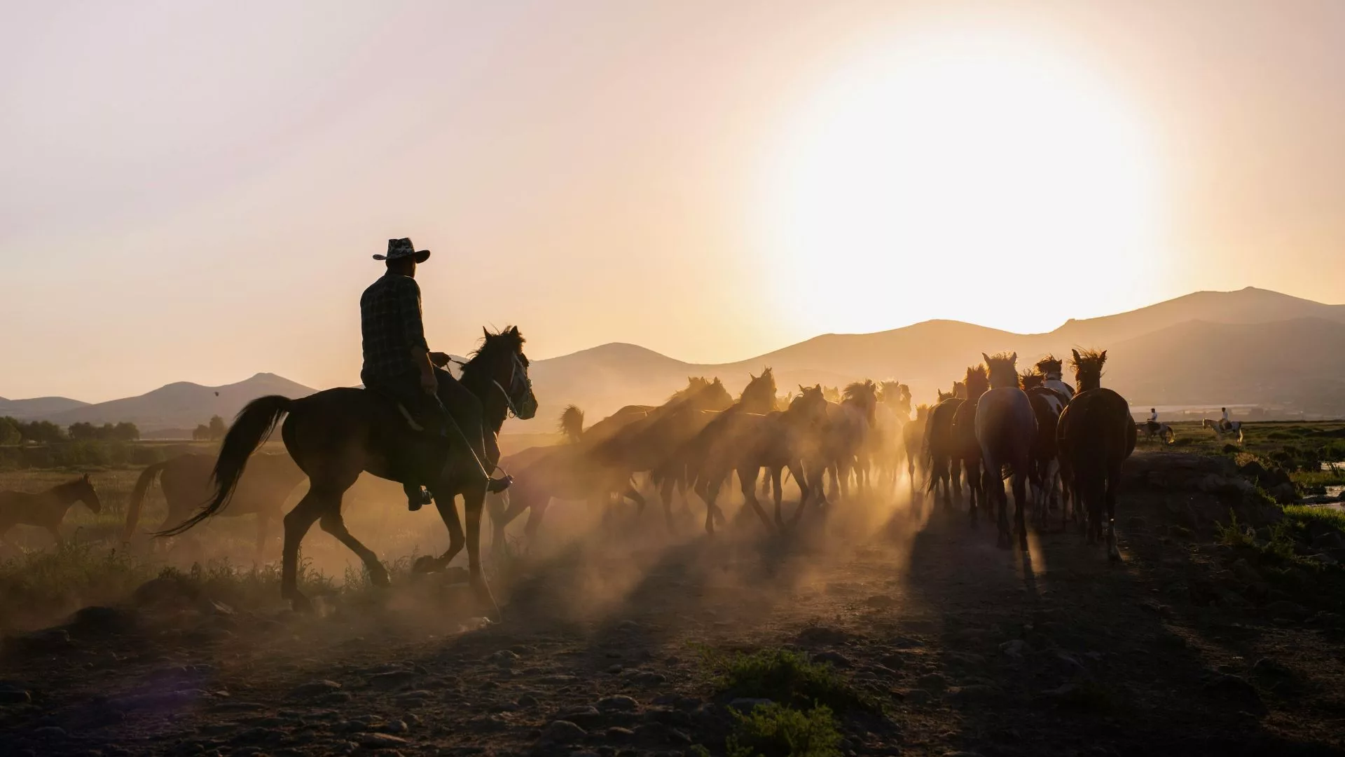 Cavalos de lida exigem mais que pasto: nutrição adequada é fundamental