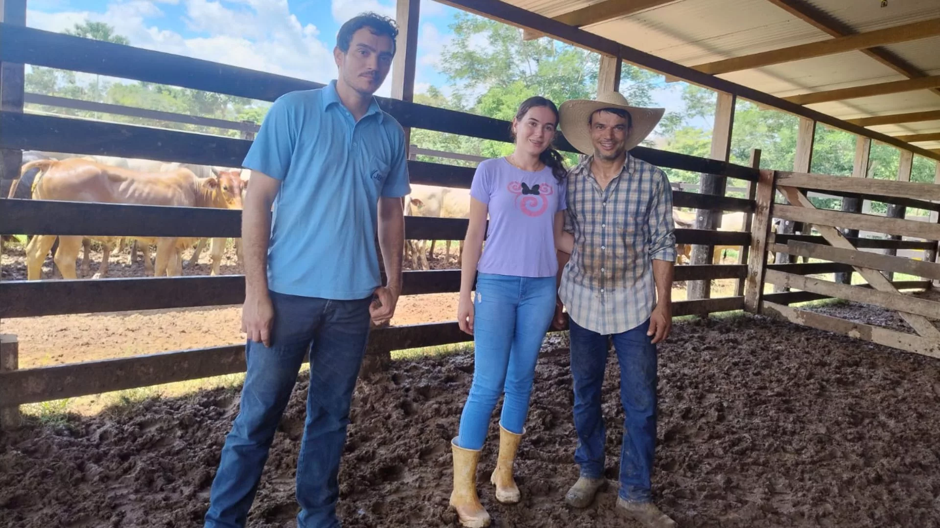 Rondônia na trilha da eficiência: fazenda aposta no cruzamento industrial e semiconfinamento