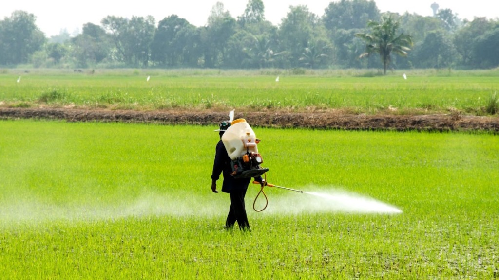 Aplicação de defensivo nos pastos. Foto: Divulgação