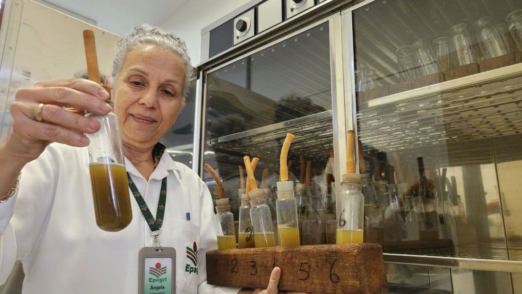 A zootecnista Ângela Fonseca Rech, pesquisadora da Estação Experimental em Lages. Foto: Pablo Gomes/Epagri