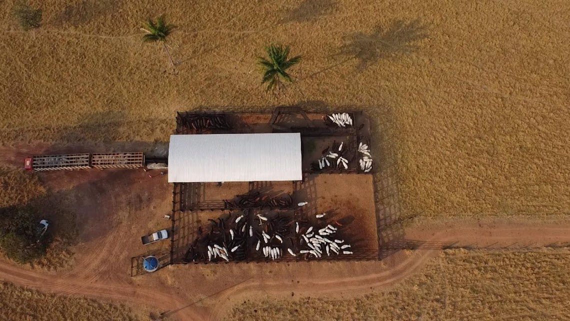 Preço de terras agrícolas dobra em cinco anos e Rondônia lidera alta