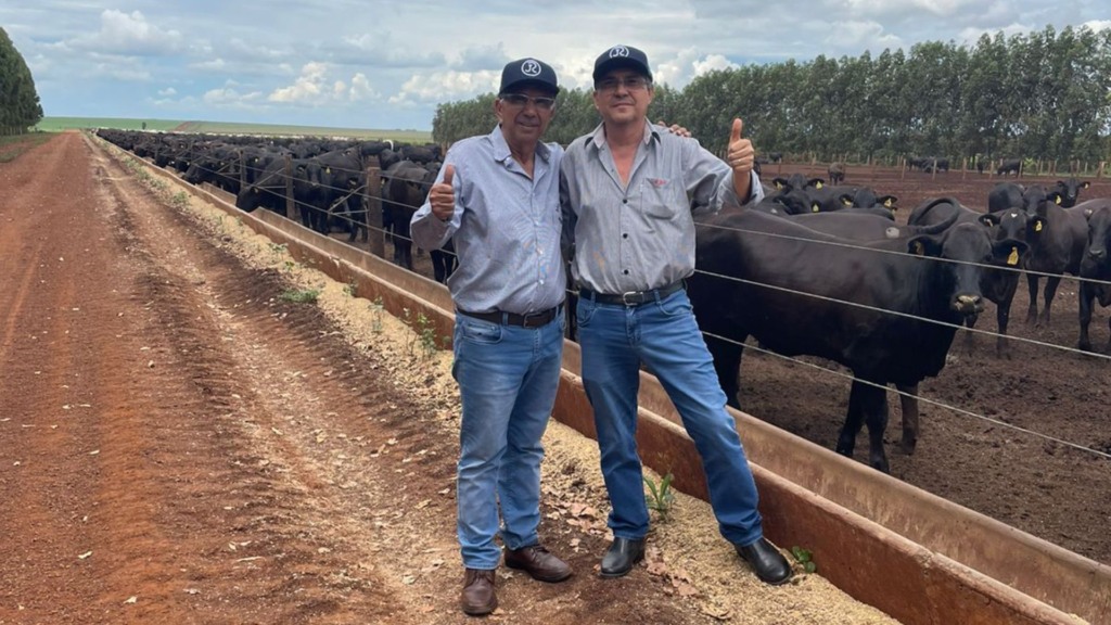 Nelore e F1 Angus de tirar o chapéu! Gadão jovem chega até 21@ em MS