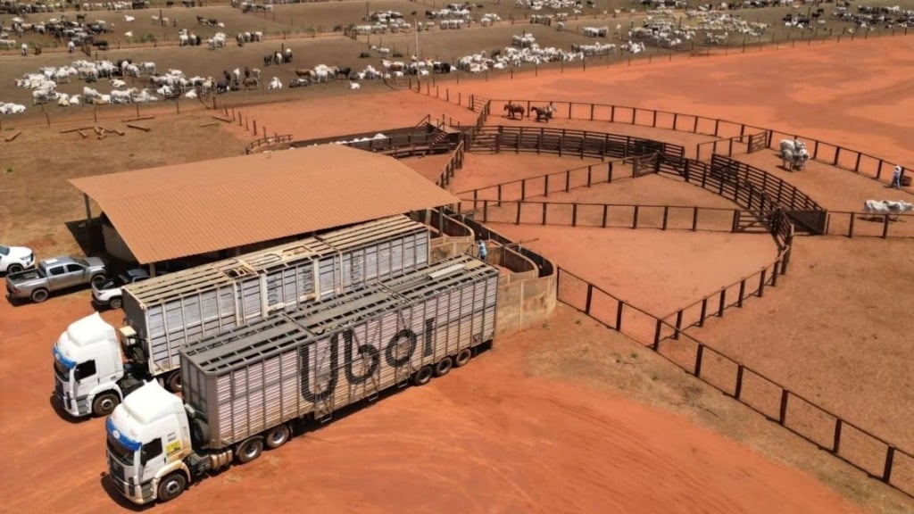 Carretas da Uboi em confinamento de bovinos de corte. Foto: Divulgação