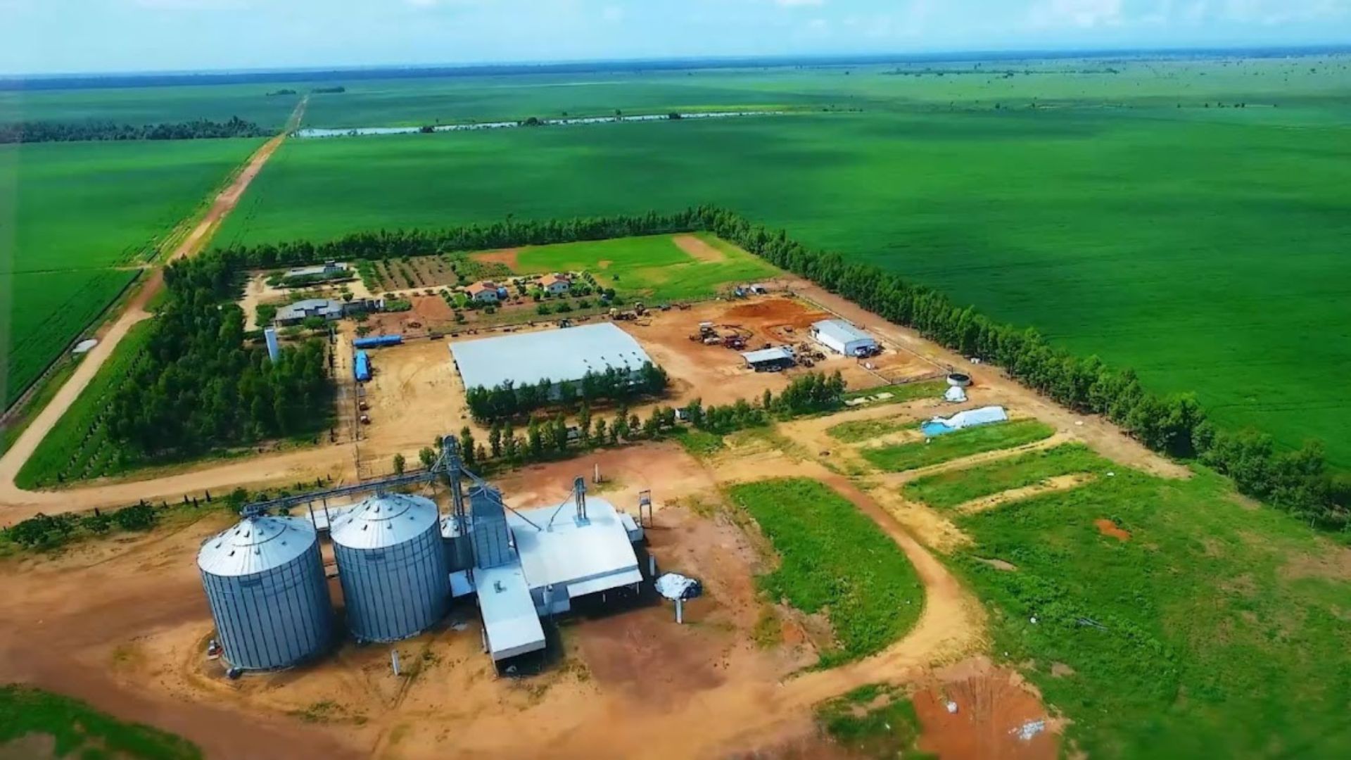 Emissões de carbono na agricultura brasileira são estimadas em US$ 11,54 por tonelada